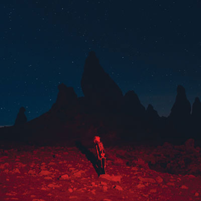 I Know the End by Phoebe Bridgers